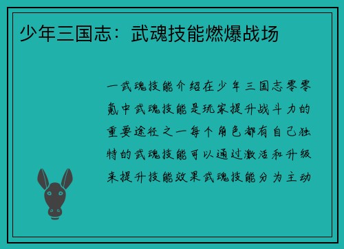 少年三国志：武魂技能燃爆战场