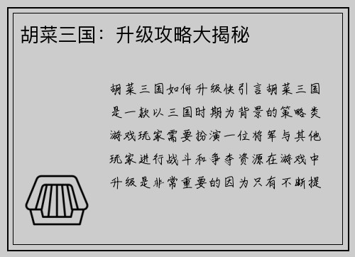 胡菜三国：升级攻略大揭秘